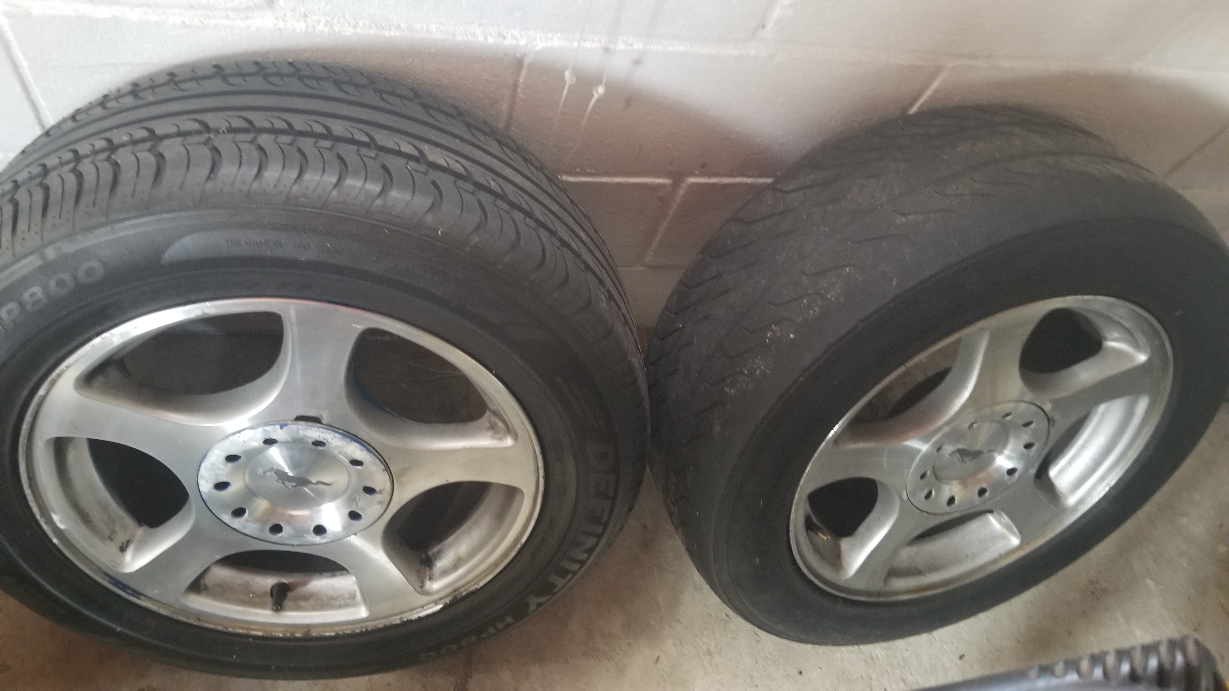 20190320_144916.jpg