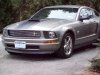 Mustang 2.jpg