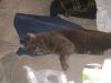 DSC00357.JPG