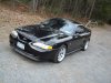 mustang 5 2008.JPG
