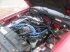 mustang pics myspace 024.jpg