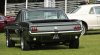 Shelby GT350.jpg
