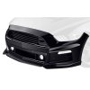 Roush front fascia.jpg