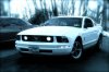 2006 Mustang