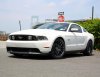 11 White GT