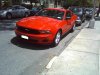 redpony2011