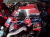 10595324458.258718942.IM1.05.565x421_A.562x421.jpg