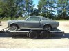 Fastback (38).JPG