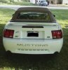 mustang123.jpg