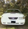 mustang321.jpg