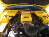 Saleen Under Hood_2.JPG