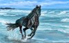 Running-Horse.jpg