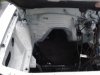 fresh stang 011.JPG
