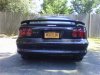 new plate2.jpg