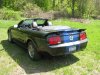 Steve's Mustang 005.jpg