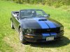 Steve's Mustang 004.jpg