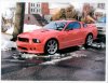 My Stang.jpg