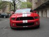 2012 Shelby Front Grille Resized.jpg