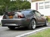mustang 3.jpg