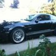 xtremestang