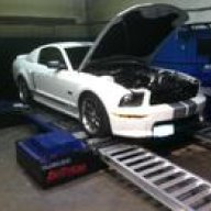 my2stangs