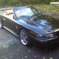 midnightcobra94
