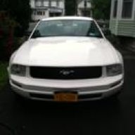 Bellastang2421