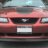 99BuffaloPony