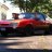 Mustang-Junky