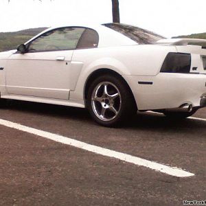 Stang Pix