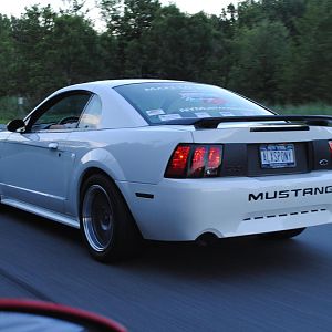 Mustang Casey