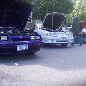 PURPLFOX