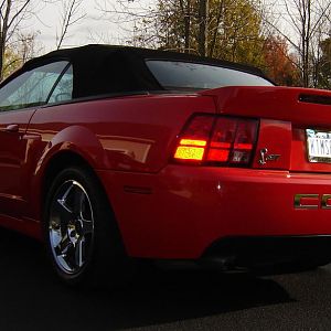 2003 SVT Cobra