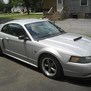 mustang