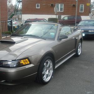 Mustang