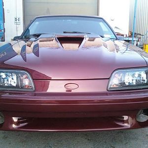 MUSTANGS I HAVE PAINTED