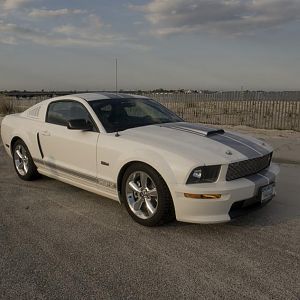 2007 Shelby GT
