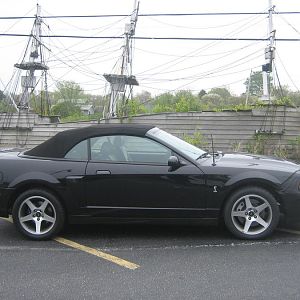 2003 Cobra Convertible
