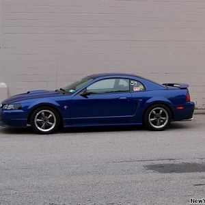 My Mustang