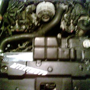 my 97 gt