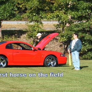 Torch Red 04 Cobra
