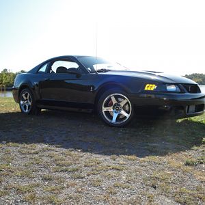 2004 Cobra New Addition