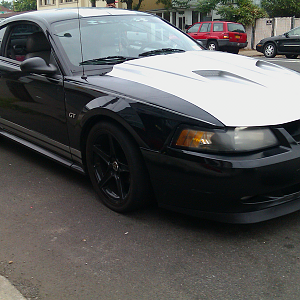 My Stang