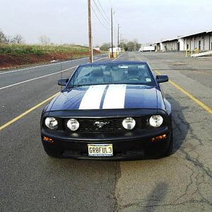 BlueStang07-Eddie