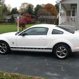 My 2006 Mustang