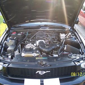 08 V6 Mustang