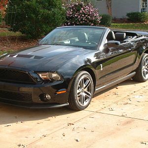 2010 GT500
