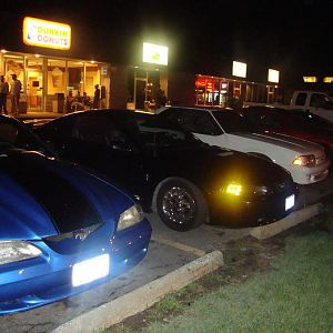 The Mustangs In My Life