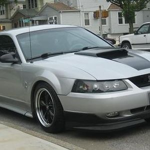 my stang