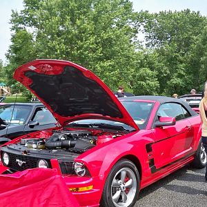 NYM Make-A-Wish pictures by Sydney